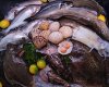 Roseland Peninsula Fishmongers